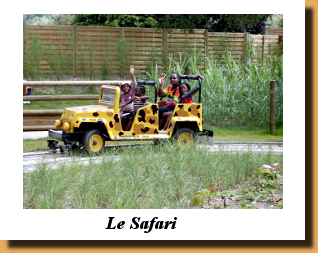 Safari